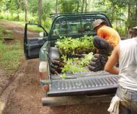 Compra de la Finca de Elias