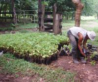 Compra de la Finca de Elias