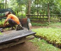 Compra de la Finca de Elias