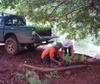 Compra de la Finca de Elias