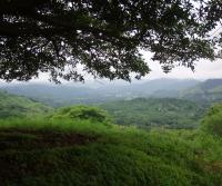 Compra de la Finca de Elias