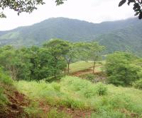 Compra de la Finca de Elias