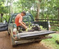 Compra de la Finca de Elias