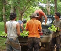Compra de la Finca de Elias