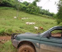Compra de la Finca de Elias