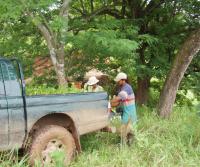 Compra de la Finca de Elias