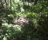 Compra de la Finca de Elias