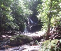 Compra de la Finca de Elias