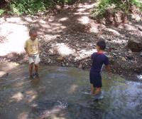 Compra de la Finca de Elias