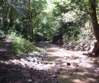 Compra de la Finca de Elias