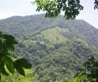 Compra de la Finca de Elias