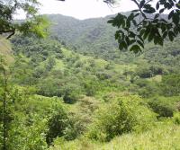 Compra de la Finca de Elias