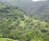 Compra de la Finca de Elias