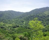 Compra de la Finca de Elias