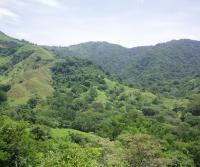 Compra de la Finca de Elias