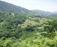 Compra de la Finca de Elias