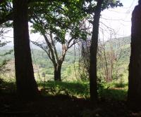Compra de la Finca de Elias