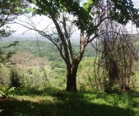 Compra de la Finca de Elias