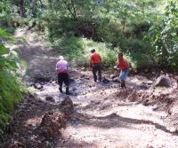 Entubado de la carretera a la Finca