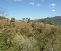 La Pulga, Bejuco, Nandayure (latest Totobe Resort 85 ha acquisition)