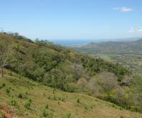 La Pulga, Bejuco, Nandayure (latest Totobe Resort 85 ha acquisition)