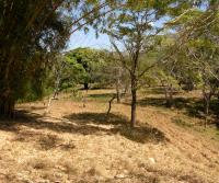 La Pulga, Bejuco, Nandayure (latest Totobe Resort 85 ha acquisition)