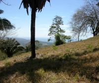 La Pulga, Bejuco, Nandayure (latest Totobe Resort 85 ha acquisition)