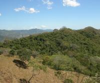 La Pulga, Bejuco, Nandayure (latest Totobe Resort 85 ha acquisition)