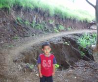 Primera siembra de Teca y Caoba en Finca Totobe
