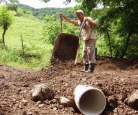 Primera siembra de Teca y Caoba en Finca Totobe