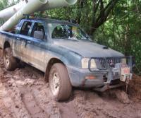 Primera siembra de Teca y Caoba en Finca Totobe