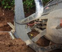Primera siembra de Teca y Caoba en Finca Totobe