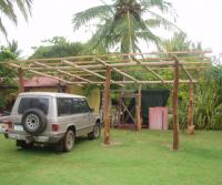 Primera siembra de Teca y Caoba en Finca Totobe