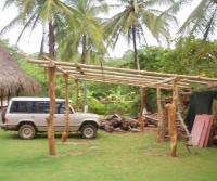Primera siembra de Teca y Caoba en Finca Totobe