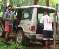 Primera siembra de Teca y Caoba en Finca Totobe