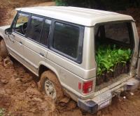 Primera siembra de Teca y Caoba en Finca Totobe