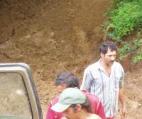 Primera siembra de Teca y Caoba en Finca Totobe