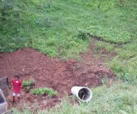 Primera siembra de Teca y Caoba en Finca Totobe