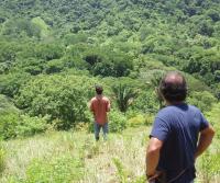 Primera siembra de Teca y Caoba en Finca Totobe