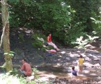 Primera siembra de Teca y Caoba en Finca Totobe