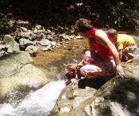 Primera siembra de Teca y Caoba en Finca Totobe