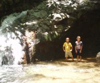 Primera siembra de Teca y Caoba en Finca Totobe