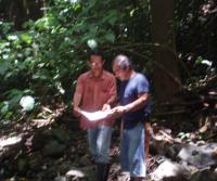 Primera siembra de Teca y Caoba en Finca Totobe