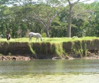 Rancho Totobe, San Miguel 2004, Costa Rica