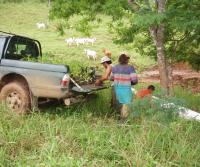 Siembra de Teca 2005