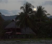 Totobe Resort by Kjell, 2005